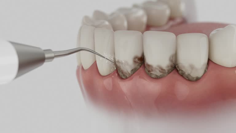Reliable Dental contractor in Frackville, PA by Dentist Open Now
